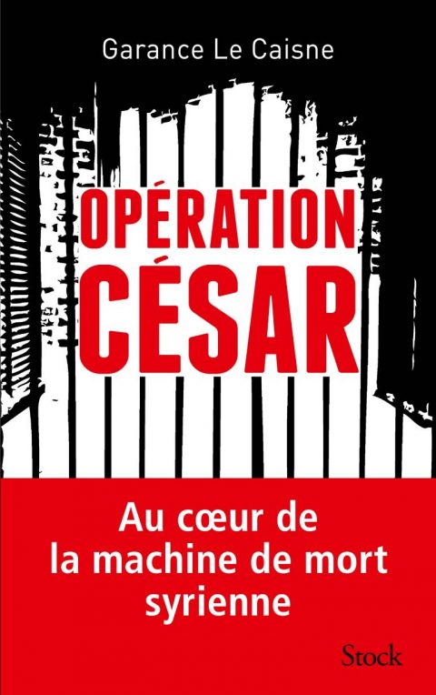 "Il fallait que César témoigne des horreurs commises en Syrie"